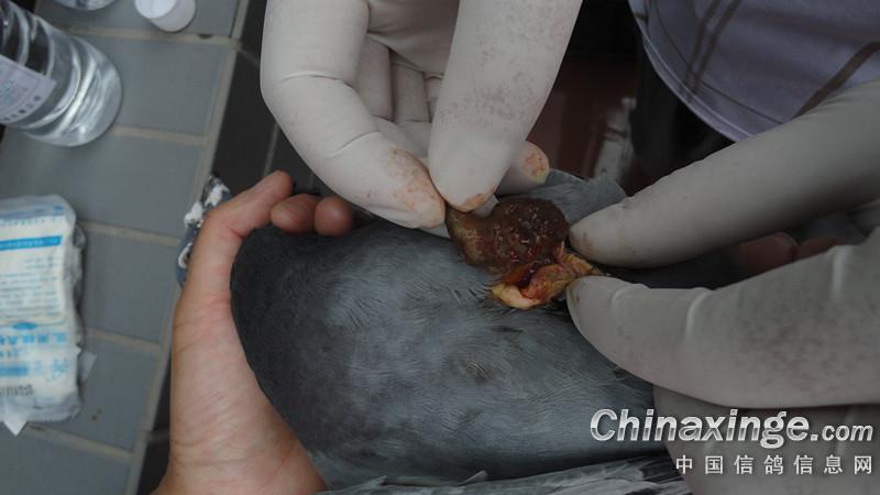 ������������ȫ����(ͼ)