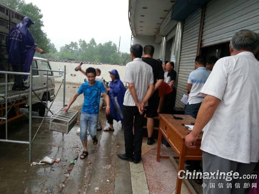 �������ǧ�������ð�꼯��(ͼ)