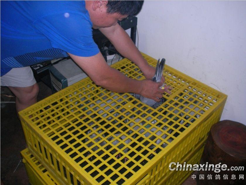 ����̨���ļ���վ���� ������Ԫ��(ͼ)