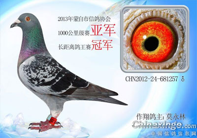 ��������������ǧ����鳲������(ͼ)