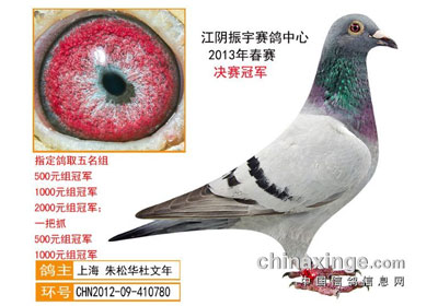 ������������ǰʮ����������(ͼ)