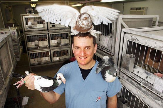 ���ӻ�������о������(ͼ)