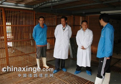 ������ЭѲ�Ӽ�鲩�¹����ʵ(ͼ)