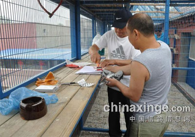 ������̨����＾3000Ԫ�ر�����(ͼ)