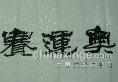 �ɹ������Ȱ��ͼ��(ͼ)