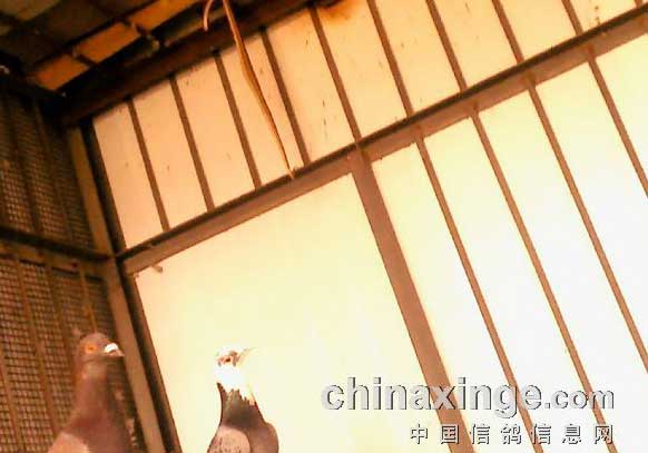 �����ļ�ע�����(ͼ)