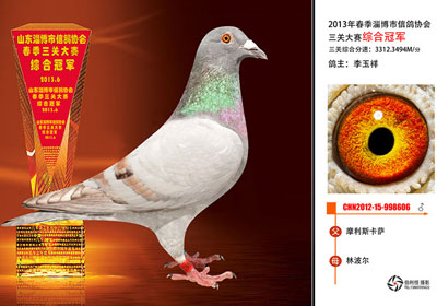 �Ͳ��д������ظ������Ǽ�����(ͼ)