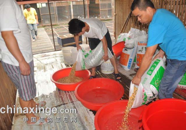 �������������6����������(ͼ)