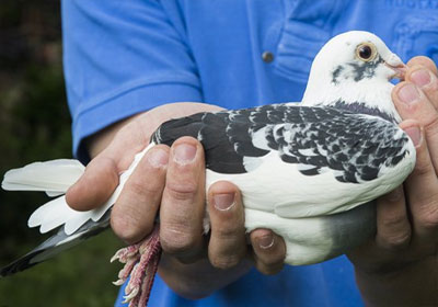 ����ʱ�Ǿ��٢�������ھ���¯(ͼ)