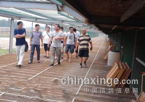 ����ʡ��Э�쵼���ж�ҹ���(ͼ)