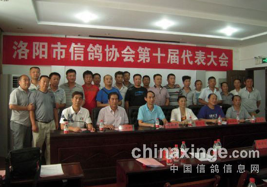 �����и�Э��ʮ���������ٿ�(ͼ)