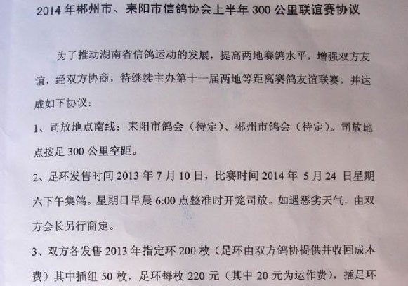 ���ϳ�������300������������11��(ͼ)