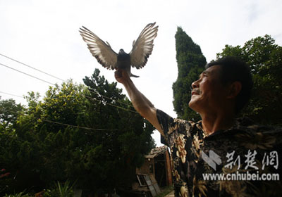 �������Ѽ��������� �����ֹ�����(ͼ)