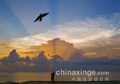 ��ͼ���ͣ�����