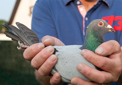 ����ʱ���������������ھ�(ͼ)