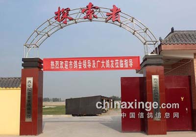 ������Э̽����ע����»���(ͼ)