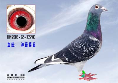 Ц������������������������(ͼ)