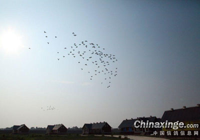 �ι�����̽���߾��ֲ�(ͼ)