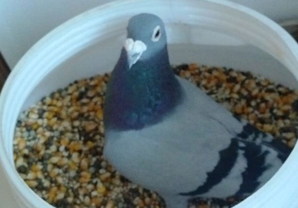 ����һ�𡰳Ի��롱(ͼ)