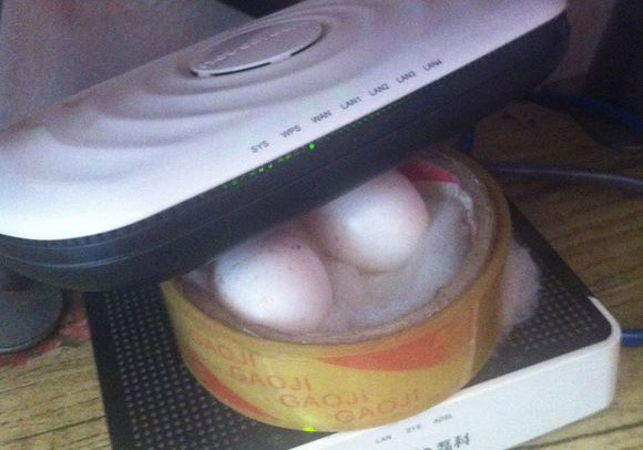 ����·�������뵰(ͼ)