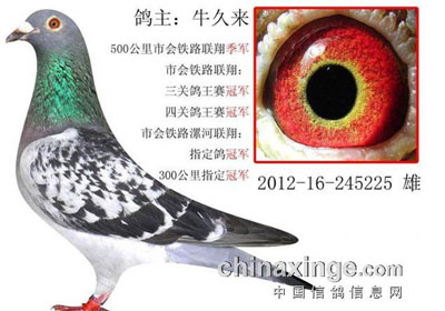 �������紺���Ĺ����񽱸�����(ͼ)