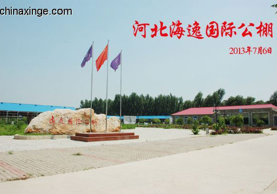 �߽��ӱ����ݹ��ʹ���(ͼ)