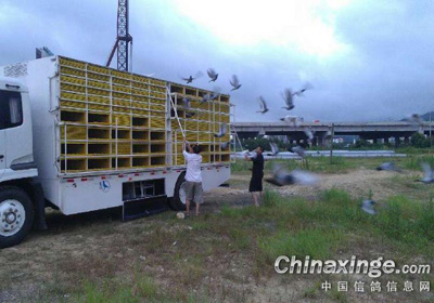 ����̨�����һ����վ�ŷ�����(ͼ)