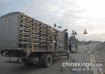 �����������ǰ�幫��ѵ��(ͼ)