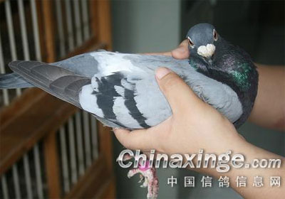 �Ÿ�����л�쳣����һ��(ͼ)