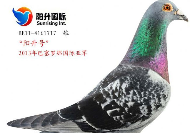 ������������2013����������Ǿ�(ͼ)