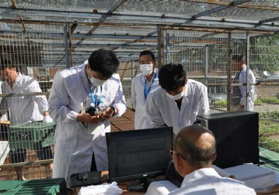 �ȷ�������׽���������ͼ��