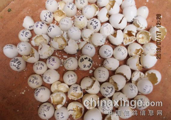 ��������д�ռǡ���ɵ�������ŵ�������(ͼ)