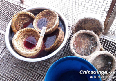 ʢ��ɹ���� ����������(ͼ)