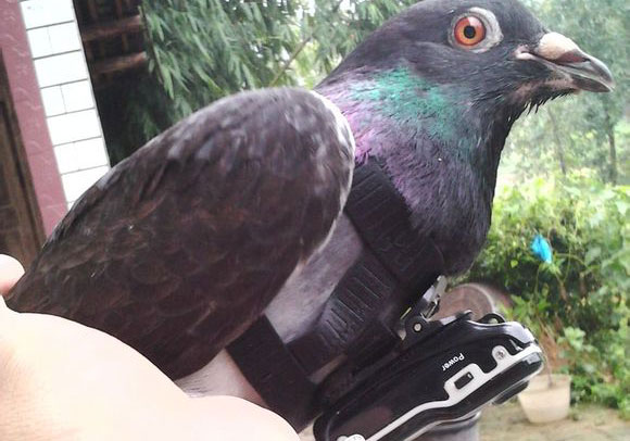 �ҵġ����������(ͼ)