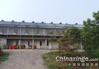 ��������ҵ(ͼ)