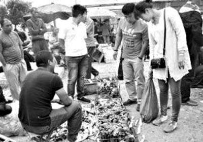 �ֳ���ɱ���� ����ȥ�ܲ���(ͼ)