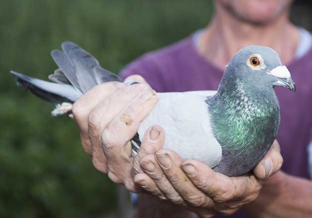 ����ʱ���ſ˹������ھ�����(ͼ)