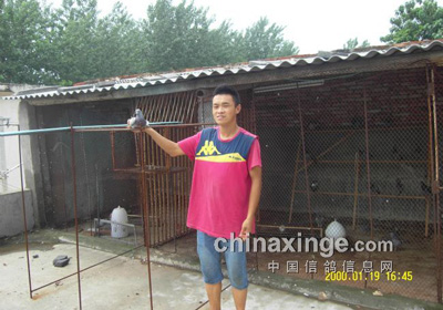 ����ʮ���ر�ϣ��(ͼ)