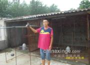 ����ʮ���ر�ϣ��(ͼ)