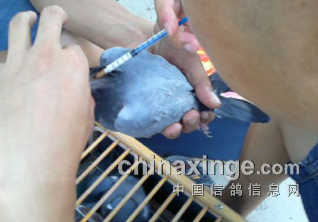 ������������(ͼ)