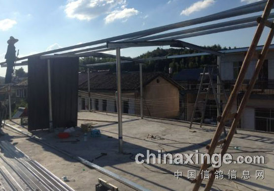 �Խ�¥������(ͼ)