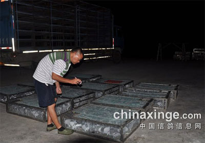 ���ݺ�㹫���״�5����ѵ����Ƭ