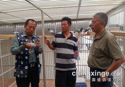 �߷ò������ո�Է������(ͼ)