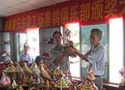 �ֶ��ǹ���2013��佱���(ͼ)