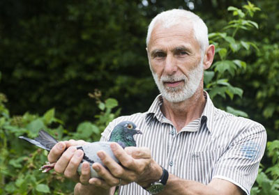 2013�ð����������ھ����