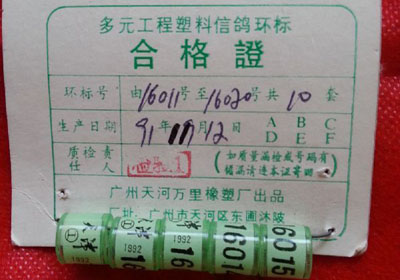 �����Ҽҵ����㻷(ͼ)