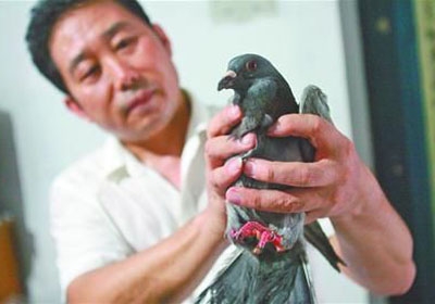 �ݱ���Ȯ������·�Ÿ�(ͼ)