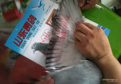 ��ʮ�조���ɸ������رȻ����(ͼ)