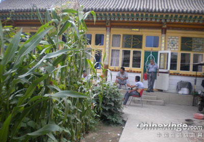 �����ӵ���Ȥ(ͼ)