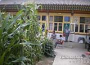 �����ӵ���Ȥ(ͼ)